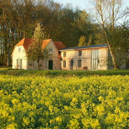 Forest House With Private By The Schlei *